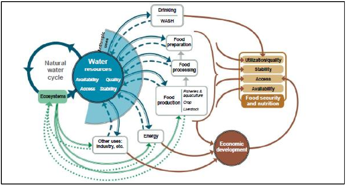 Effets du stress hydrique sur la sécurité alimentaire et le